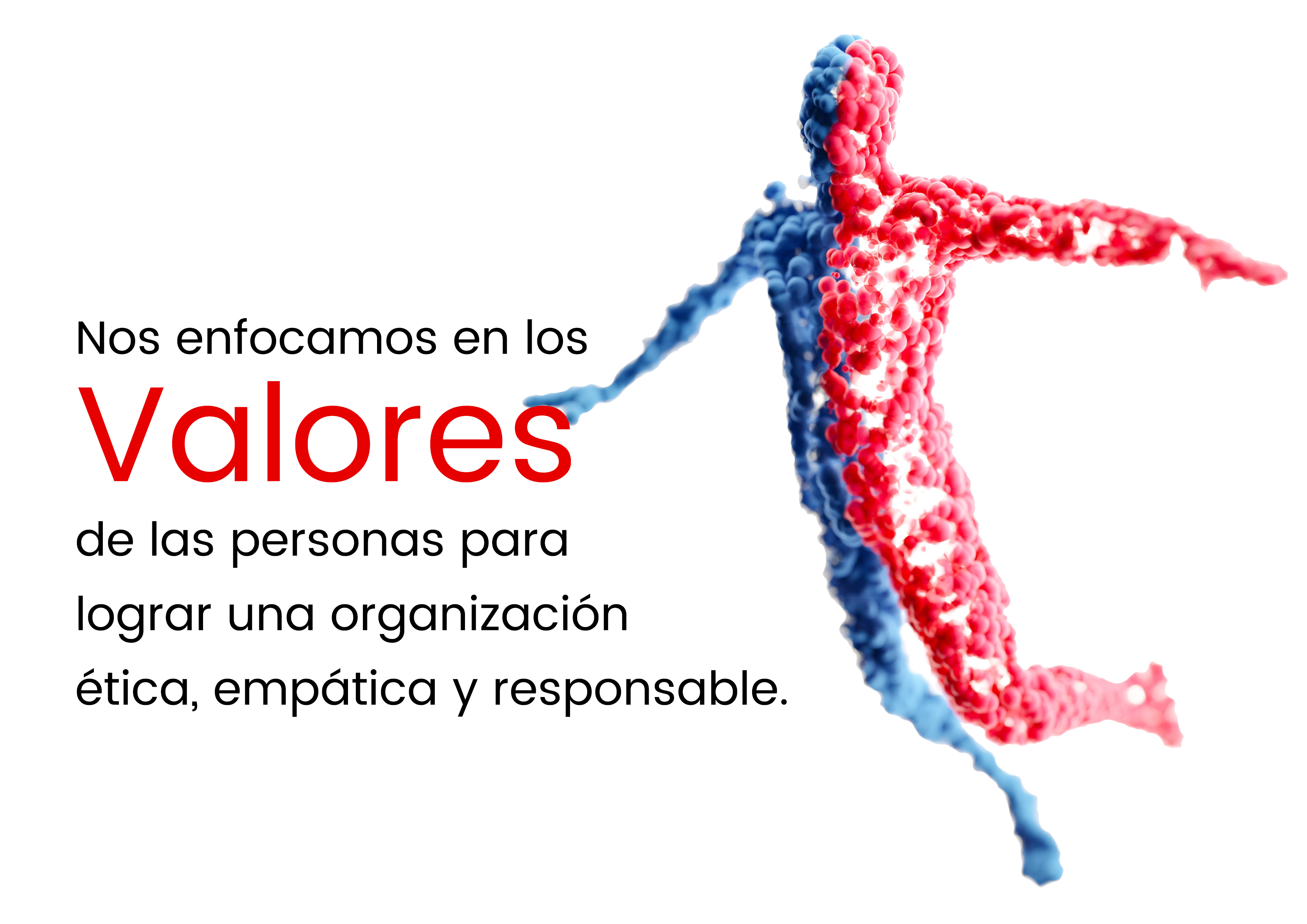 Nos enfocamos en lo humano Nos enfocamos en lo humano